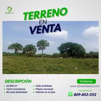 Terreno De 52,800m2 Con Hermosas Palmeras - Paya Bani