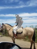 Yegua Criolla Baya Cabos Negros Pura