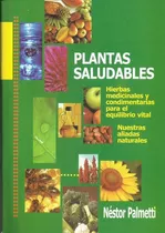 Plantas Saludables - Palmetti Nestor