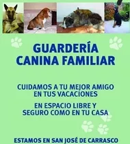 Guarderia Canina Ciudad De La Costa,hotel, Pensionado Perros