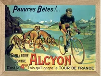 Bicicletas Alcyon , Cuadro, Poster, Publicidad     K202