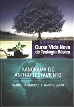 Curso Vida Nova De Teologia Básica - Vol. 2 - Panorama Do At