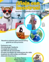 Tramites Sanitarios Para Mascotas Que Viajen Fuera Del País