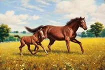 Caballo Y Potrillo Campo - Arthur Sarnoff - Lámina 45x30 Cm.