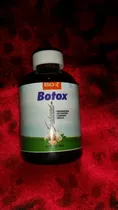  Botox De Ajo Salome