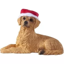 Golden Retriever Con Adorno Navideño De Gorro De Papá...