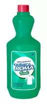 Jabón Líquido Química Roma Verde Plus 1 Litro