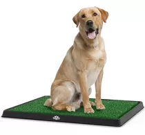 Alfombra De Baño Para Perros Y  Mascotas Petmaker 25x20 PuLG