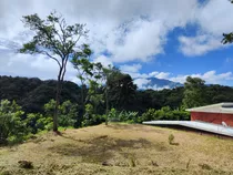 Lotes / Terreno En Acosta, San José 