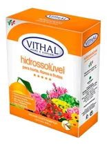 Fertilizante Hidrossolúvel Horta Flores Frutas Vithal 400g