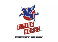 Flying Horse