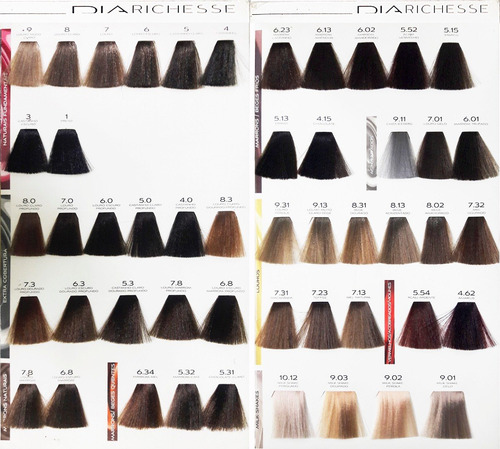 Loreal Dia Richesse Colour Chart My Xxx Hot Girl