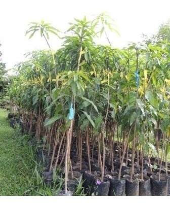 Herramientas Alaball Ferreteria Y Suministros Industriales Herramientas Alaball Ferreteria Y Suministros Industriales