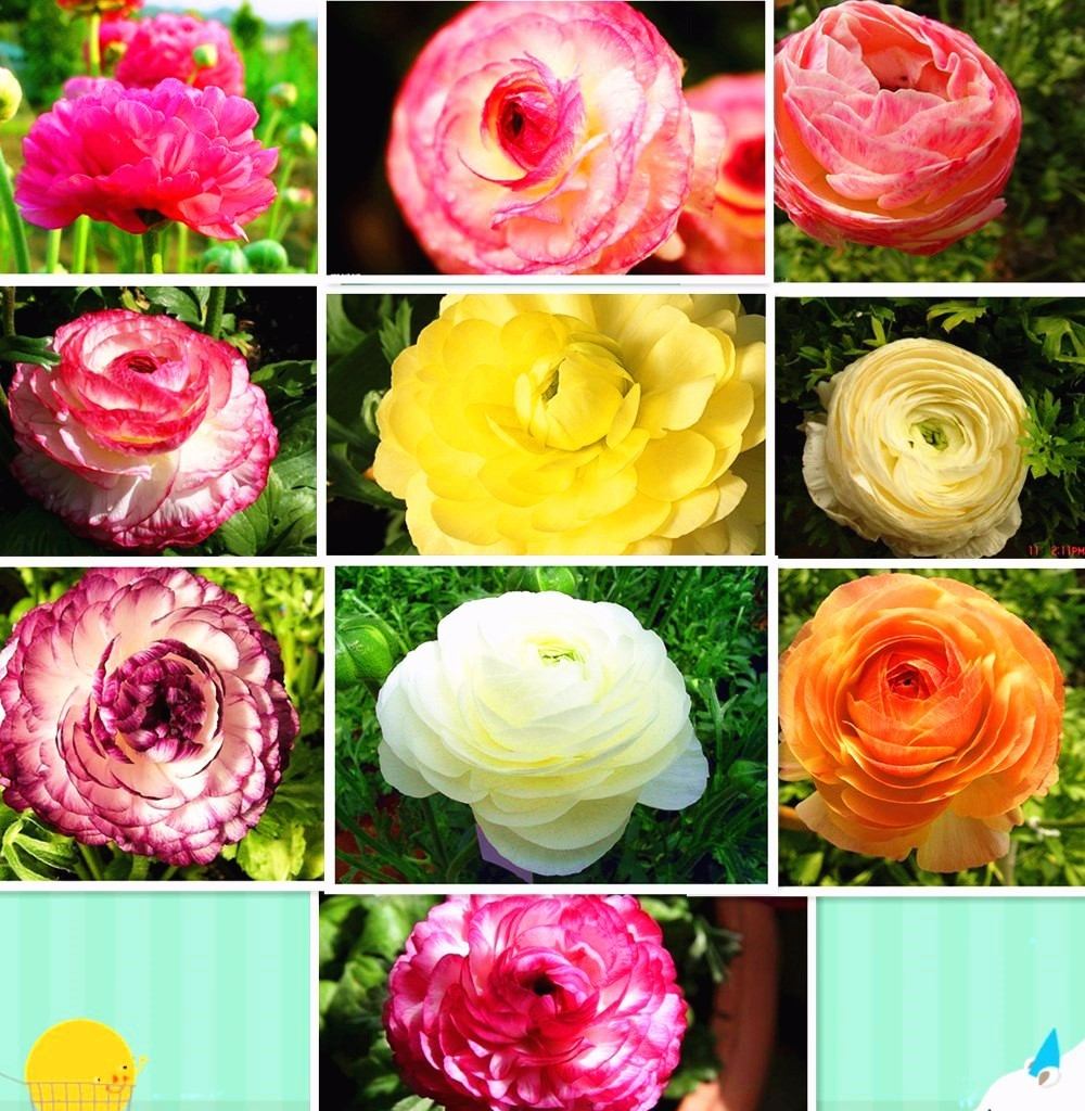 My Image 26