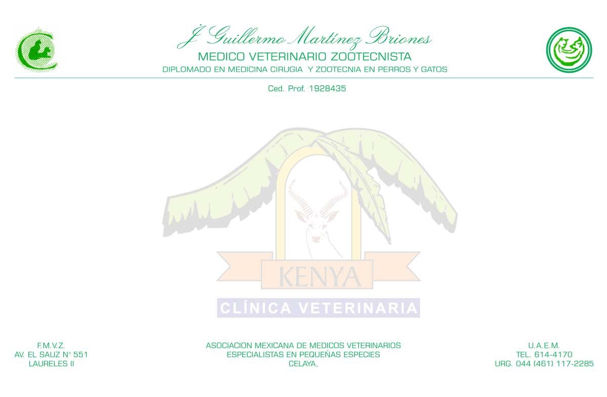 formato de recetario medico