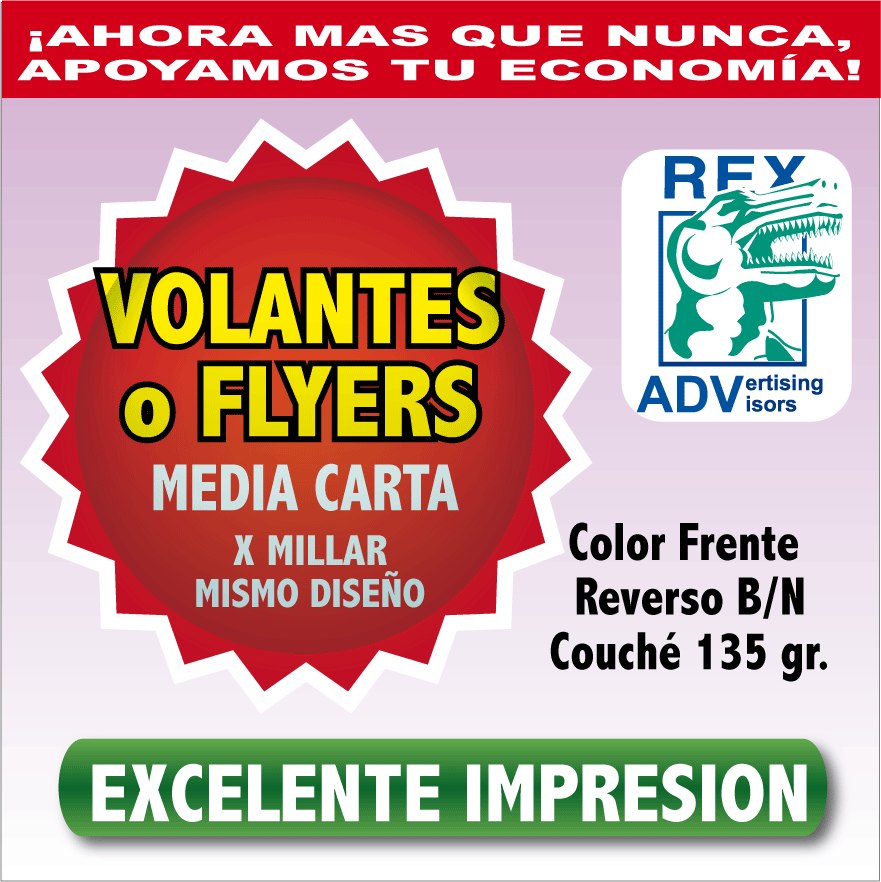 1000 Volantes Publicitarios Media Carta Flyers Todo Color 