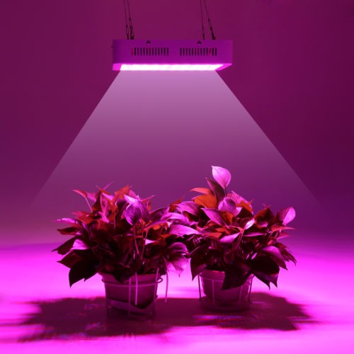 Panel Crece 1000w Lámpara Completo Led Espectro Flor Luz La 351cFJTluK