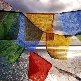 Banderas Tibetanas 50 banderas de 15 x 20