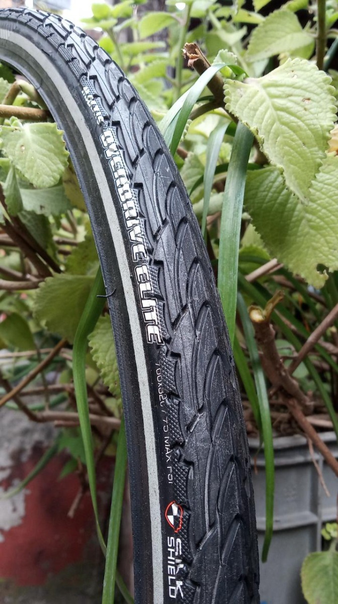 maxxis overdrive 29