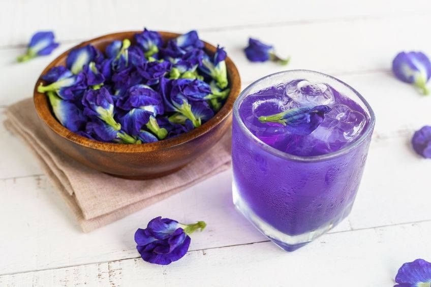 20grs Flores Cunhã Clitoria Ternatea P/ Cha Azul Medicinal - R$ 35,99 em Mercado Livre