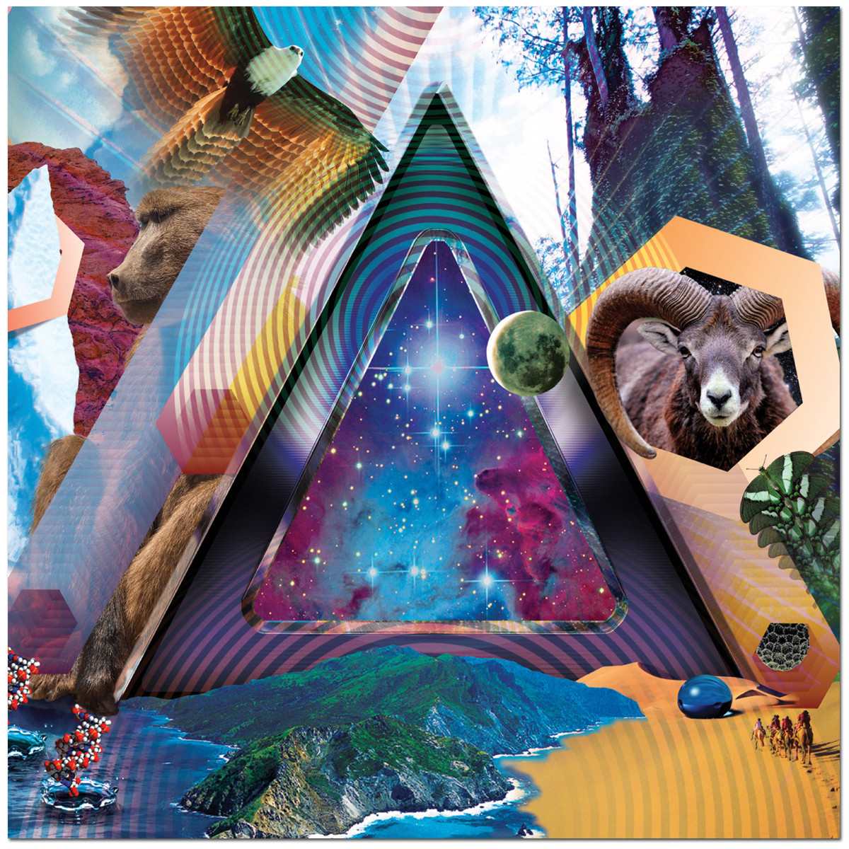 311 universal pulse