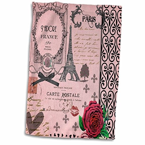 3d Rose Stylish Vintage Pink Paris Collage Art Eiffel Tower