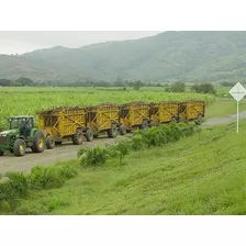  Monte Plata Bayaguana Guerra Nagua Los Llanos Hato Mayor Seibo Finca Cañera Agrícola Ganadera 75,000 Tarea 