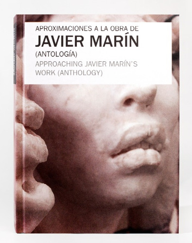 Aproximaciones A La Obra De Javier Marín (antología)