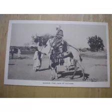 Postal Antigua Nigeria - Emir De Katsina Montado En Camello