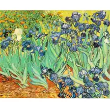 Lamina 30x45cm Arte - Pintores - Van Gogh - Irises 2