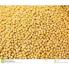 Mostaza Amarilla En Grano Importada X 5 Kg