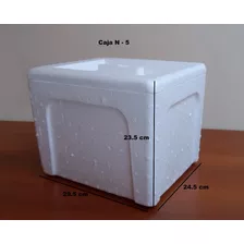 Caja Térmica De Tecnopor Para Transporte De Medicina. Caja 5