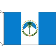 10 Banderas De Neuquén 90 X 150cm Oficial Refuerzo Y Sogas