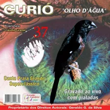 Cd Canto-do Curió Olha D'agua Para Adestramento -de Filhotes