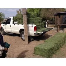 Fardos De Alfalfa De Primera Por Mayor Y Menor