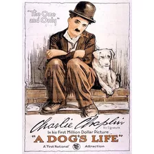 Poster Charlie Chaplin 50cmx70cm Cartaz Plastificado