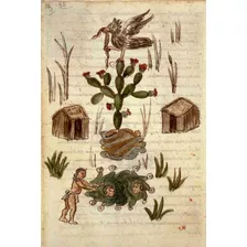 Lienzo Tela Canvas Códice Aubin 25 1576 México Azteca 74x50