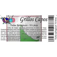 Turba X 10 Litros -sustrato Para Reptiles.