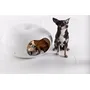 Primera imagen para búsqueda de cama para perros