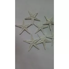 Estrela Do Mar 5cm Perolizada De Resina 36pçs + Brinde