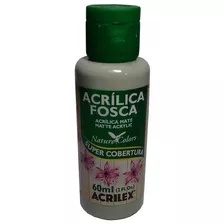 Tinta Acrílica Areia Lunar Acrilex Nature Colors 60 Ml