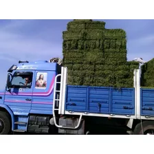 Fardos De Alfalfa De Primera Por Mayor Y Menor