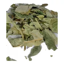 Hierba Medicinal Hoja De Mango, Infusión, Te.