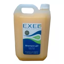 Shampoo Exel Linea Gel Cabello Peluquería Profesional X3800