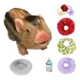 Primera imagen para búsqueda de puercos minipig