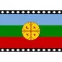 Primera imagen para búsqueda de bandera mapuche wunelfe