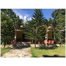 Venta De Hacienda Ganadera Y Agricola 286 Has En Yucatán