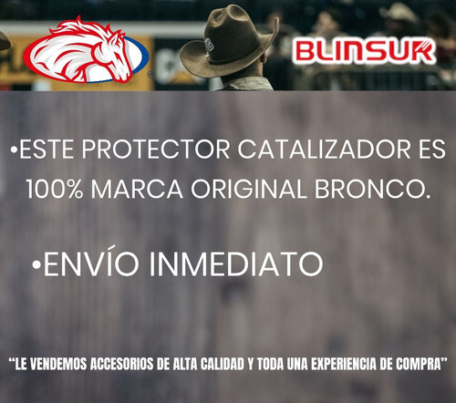 Protector Catalizador Nissan  Frontier Pick-up 2016 - 2020 Foto 4