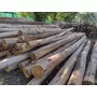 Primera imagen para búsqueda de postes de madera