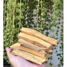 Palo Santo In Natura (madeira Sagrada)